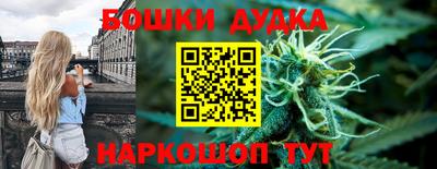 spice Кинель