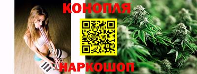 spice Кинель