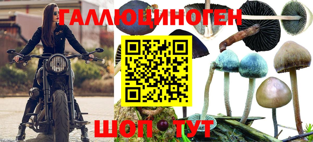 Кохма  Псилоцибиновые грибы мухоморы  Вход с VPN 